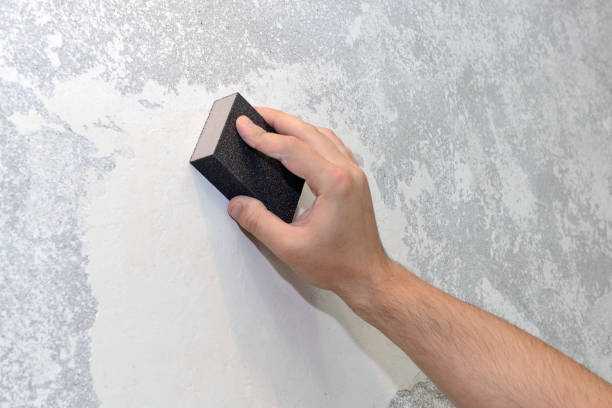  Dansville, NY Mold Removal Pros