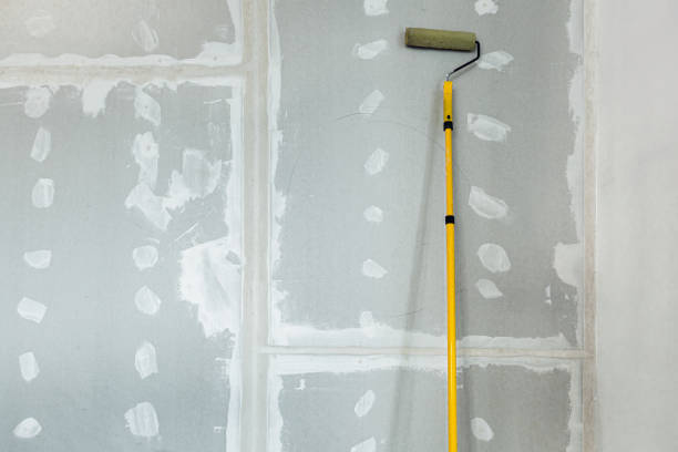 Best Post-Construction Mold Inspection  in Dansville, NY